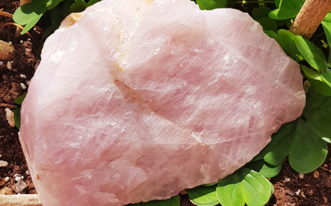 Il colore rosa